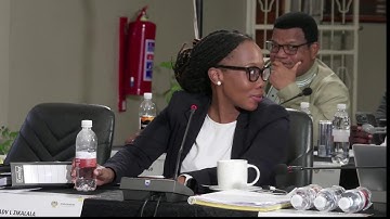 LIVE: Vusimuzi “Cat” Matlala Appears Before the Parliamentary Ad Hoc Committee