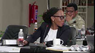 LIVE: Vusimuzi “Cat” Matlala Appears Before the Parliamentary Ad Hoc Committee