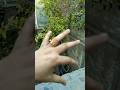 Feel With Hand ✋🔥 | Amazing Hand Challenge Shorts#FeelWithHand #HandChallenge #Shortsl