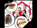 Termite Pest Control