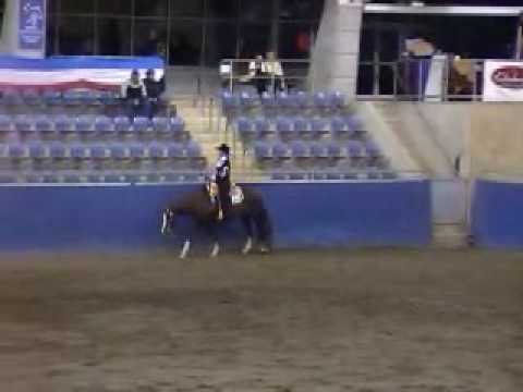 2009 NPHA $5000 Ranchmans Saddlery Junior Horse We...