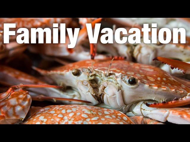 Thai Seafood Feast: Family Vacation in Pattaya | Mark Wiens