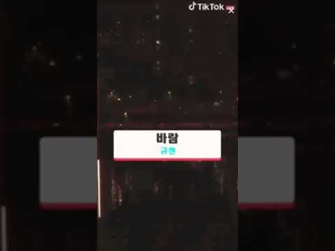 바람😌💓TikTok stage#ーパージュニア#SUPER JUNIOR#규현#キュヒョン#Kyuhyun#圭賢