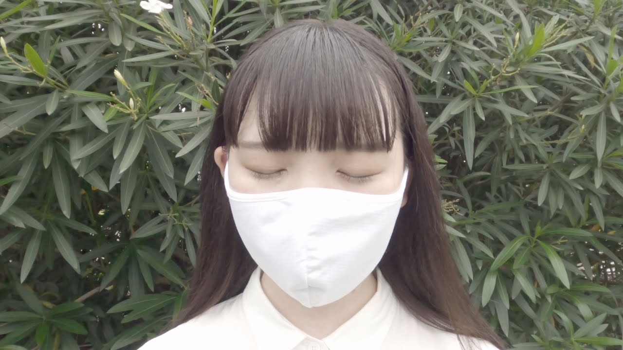 寿々木ここね- FEVER (Official Music Video) - YouTube