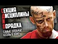 СДП - СЕКЦИЯ ДИСЦИПЛИНЫ И ПОРЯДКА / САМЫЕ ПРОКОЗЛЯЧЬИ КОЗЛЫ В ЗОНАХ