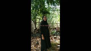 Download Lagu panen buah duku di belakang rumah nenek MP3