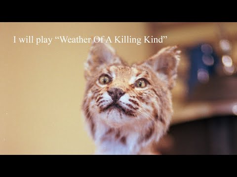 The Tallest Man on Earth - I Will Play "Weather Of A Killing Kind" #StayHome #WithMe