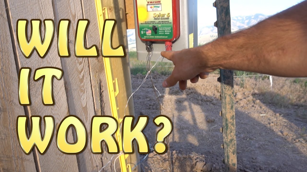 It's So Dry! Troubleshooting Electric Fencing YouTube