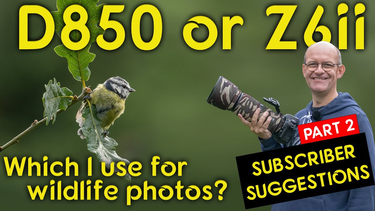Part 2 - Why I use my Nikon D850 for wildlife photography instead of my