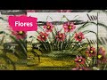Paty Buoso - Flores