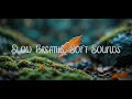 Slow Breaths, Soft Sounds 🍃 _  Relaxing Audio