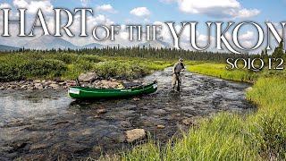 Hart of the YUKON - 14 Days Solo Camping in the Yukon Wilderness - E.2 - Low Water & Fish Stew