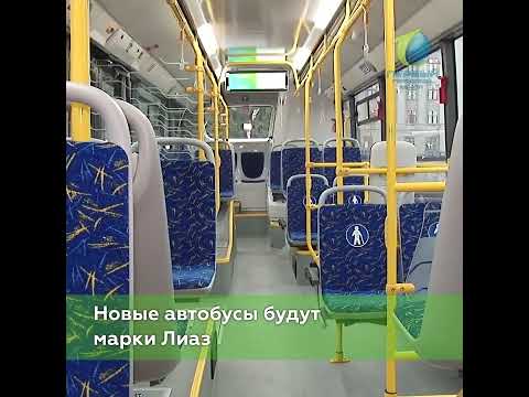 Новые автобусы