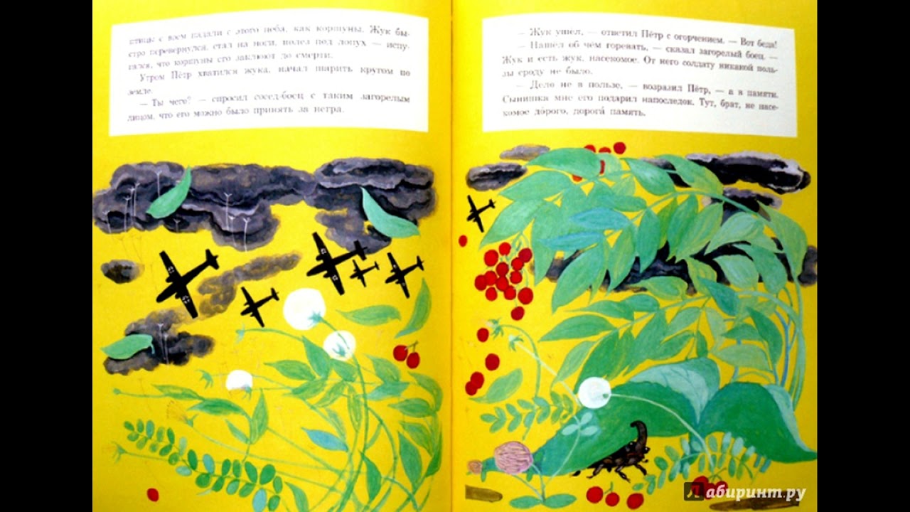 Цикл громких чтений к 75-летию Победы: Паустовский К. "Похождения жука ...