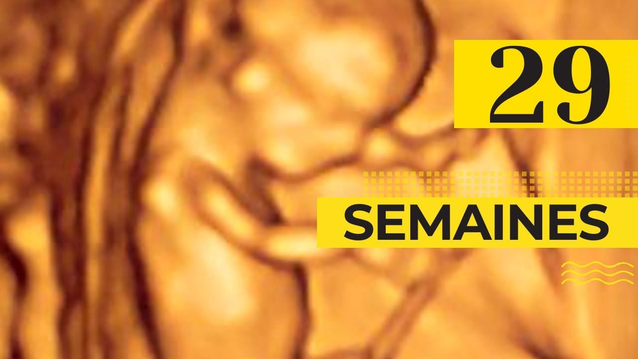 Qu Advient Bebe A 29 Semaines De Grossesse Youtube