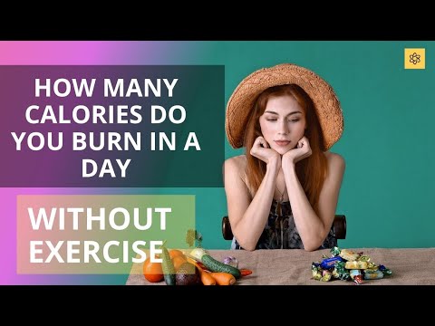 How many calories do you burn in a day without exercise?