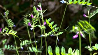 Sendero Las Lagunetas - La Esperanza