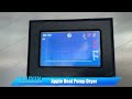 Apple Chips Dehydrator Machine Apple Drying Machine