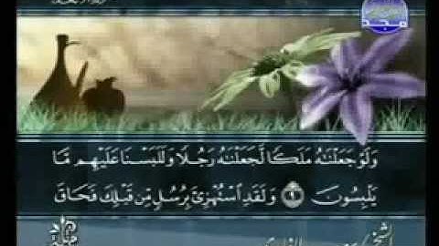 سورة الأنعام من الآية 1 الى الآية 16 .flv