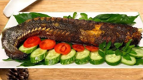 Hai Anh Em Làm Cá Tầm Hoá Thạch Ai Ngờ Lại Hoá Bóng Đêm 🤭🤭