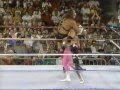 Demolition smash vs jim the anvil neidhart summerslam fever 1990