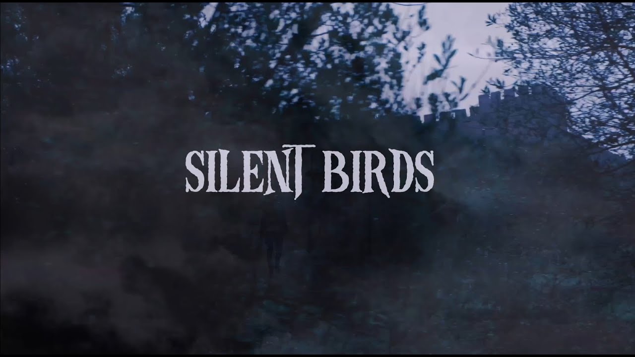 SILENT BIRDS YouTube
