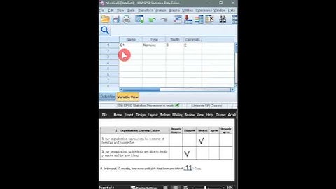 One-Minute SPSS Tutorial: How to enter data