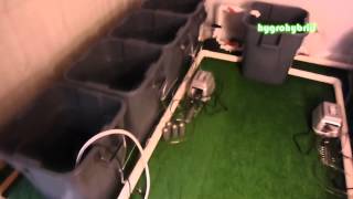 Site B Custom RDWC System