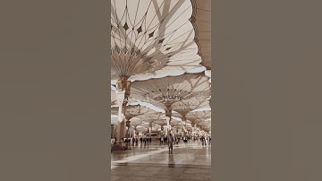 سورة الصف {الآية 4} بصوت الشيخ ماهر المعيقلي ❤️❤️