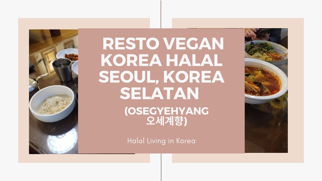 Halal Living In Korea Makan Di Resto Vegan Korea Halal Seoul Korea halal-living-in-korea-makan-di-resto-vegan-korea-halal-seoul-korea