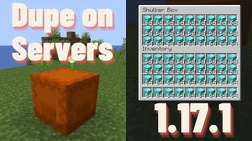 New Multiplayer Any Item Duplication Glitch In Minecraft 1.17.1