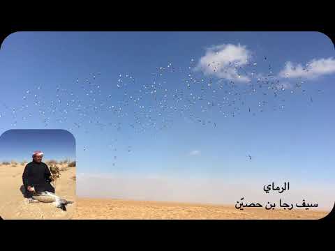 الرماي سيف رجا بن حصي ن 