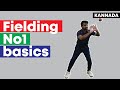 Fielding how to catch  basic concepts  rbp cricket online