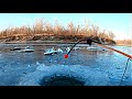 ЧЕХОНЬ на каждом забросе! | Зимняя рыбалка на р. Хопёр 2020
