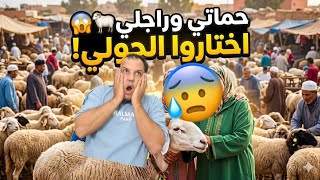 أخيرا مشينا نختاروا الحولي 🐑🐑شوفوا ذوق حماتي🐑🐑 وراجلي واش عجبكم 🤔🤔