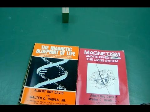 VIDEO 1 Magnetic seed exposure experiment. Secret suppressed books. PHASE SHIFT discovery