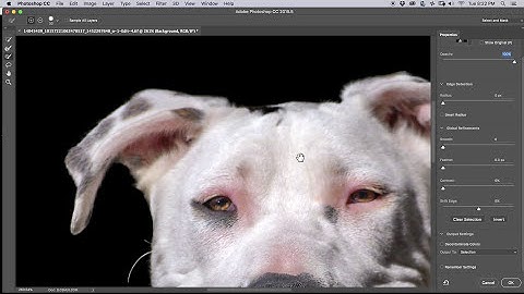 How to blur a background with Lens Blur in Photoshop