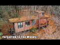 This vintage 1940s train caboose has sat abandoned in the forest for over 30 years