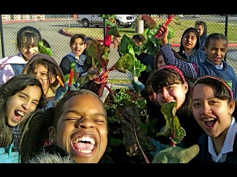 Video: Teaching Garden Curriculum Idéer: How To Get Kids In The Garden