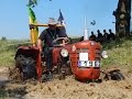 I Rajd Starych Traktorów - Festyn "Lipówka" - Wielka Lipa