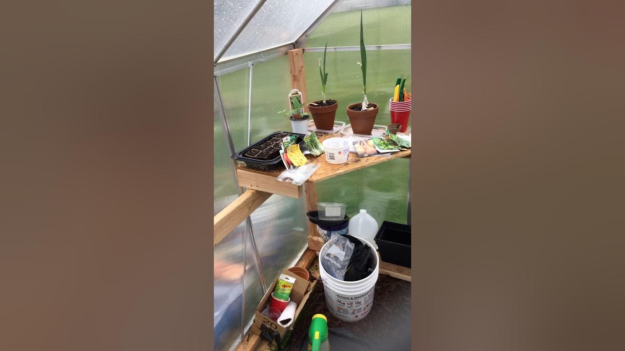 Harbor freight 6x8 greenhouse setup and modification YouTube