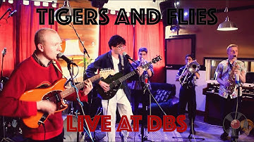 Tigers and Flies: Live at Dead Basics Studios