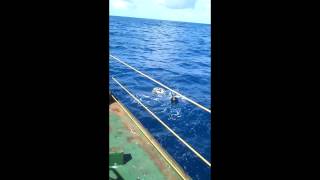 Drift Buoy Deployment