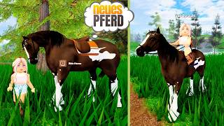 wir kaufen ein 🅽🅴🆄🅴🆂 PFERD 🐴 Horse Riding Elite