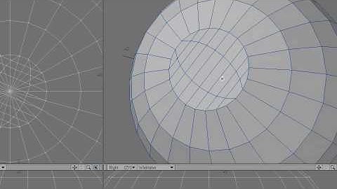 LightWave plugin - QuadSkinPatcher (just adding a trick)