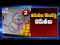 Leopards, Bear spotted on Tirumala streets, viral video