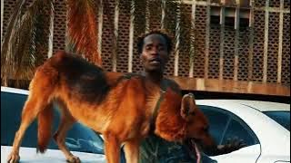 Y celeb ft Chada (who let the dogs out?)out now🔥