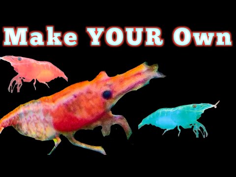 Make YOUR Own Red Rili Shrimp Line I Mixed Different Colors Of Shrimp And This Happened 