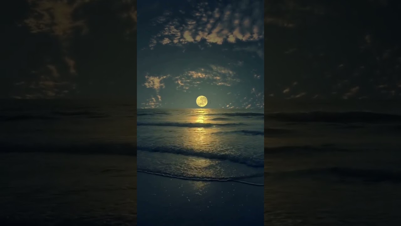 " HOPE" Bernie, 1er Titre Rock Progressif 