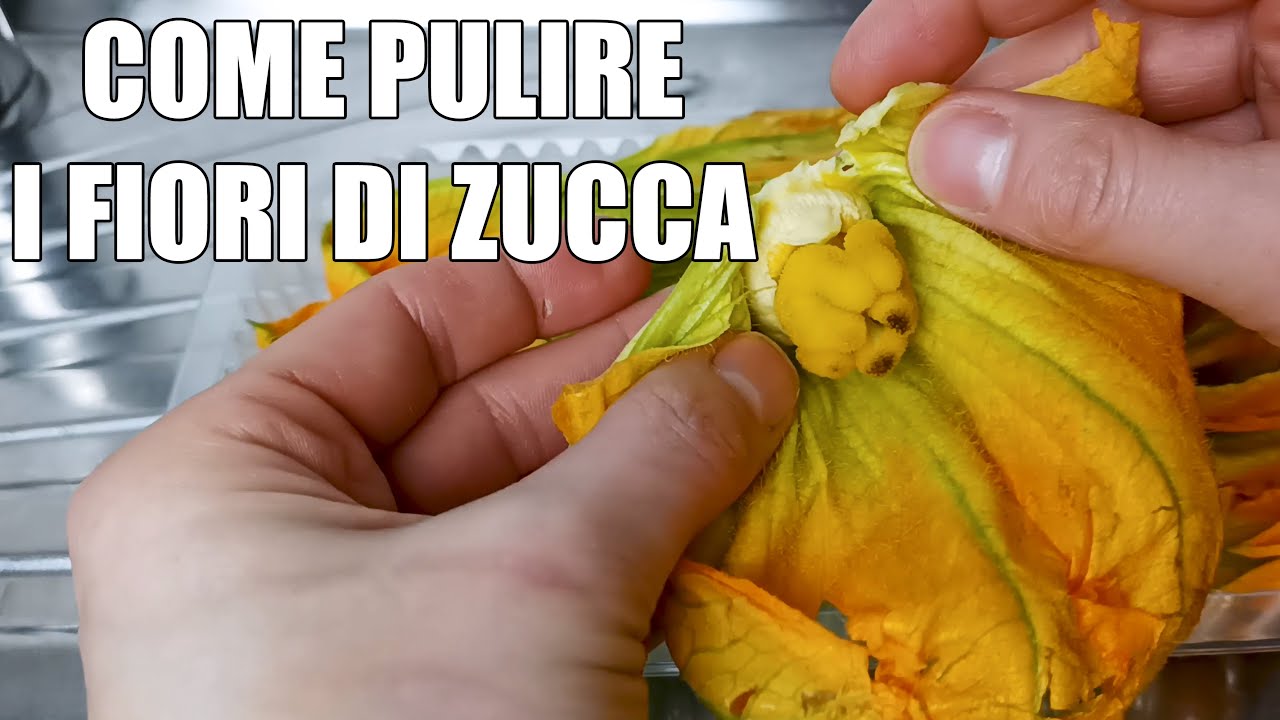 Come pulire i fiori di zucca